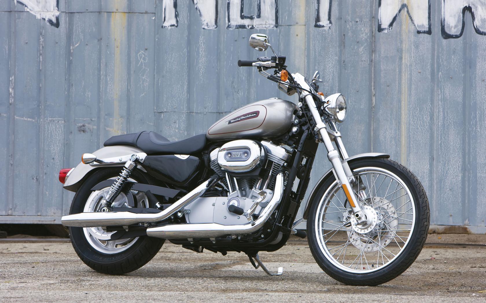 Harley-Davidson, Sportster, XL 883C Sportster 883 Custom, XL 883C Sportster 883 Custom 2009, мото, м 1680x1050