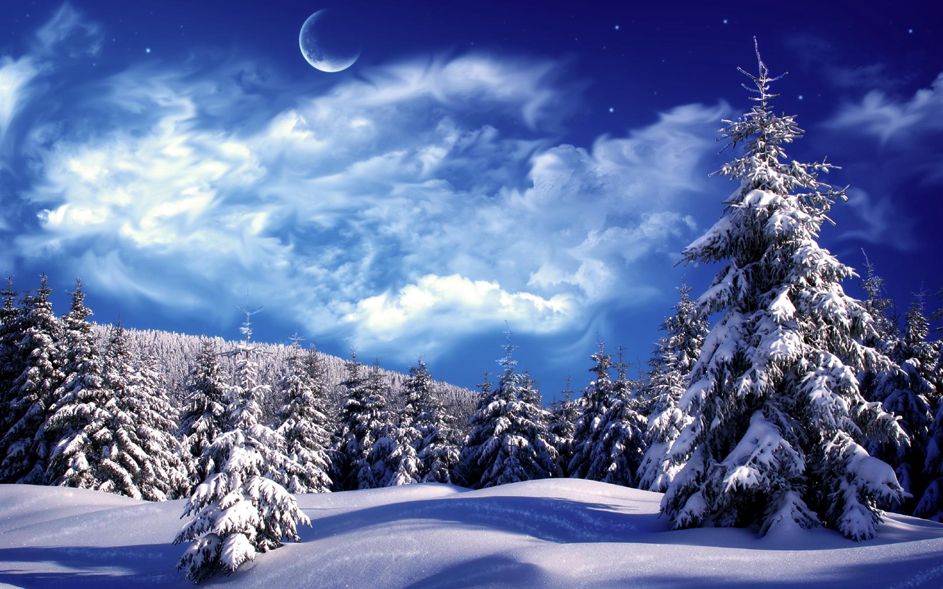 Зима, снег, елки, облака 1920x1200