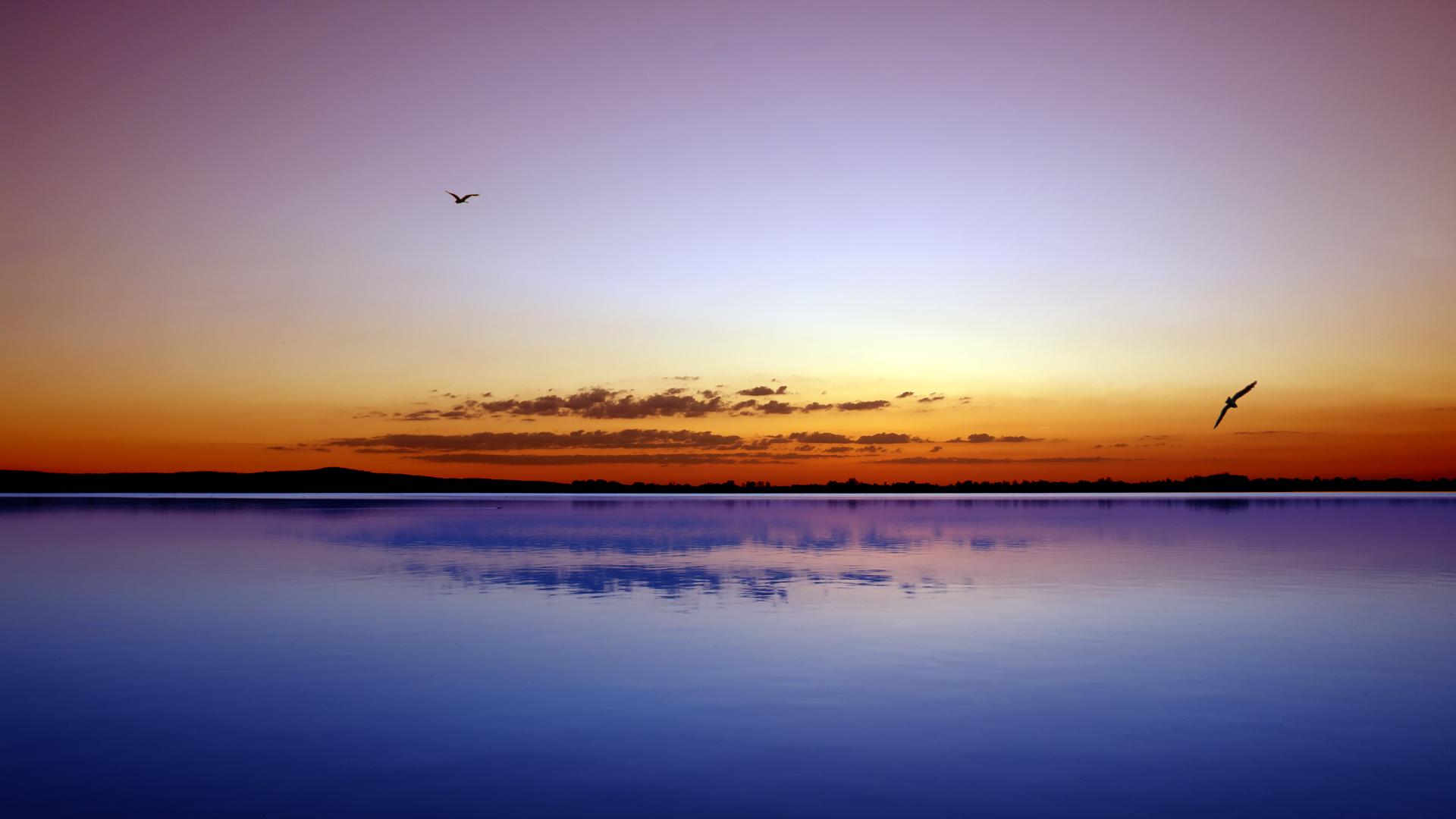 фотообои вода море