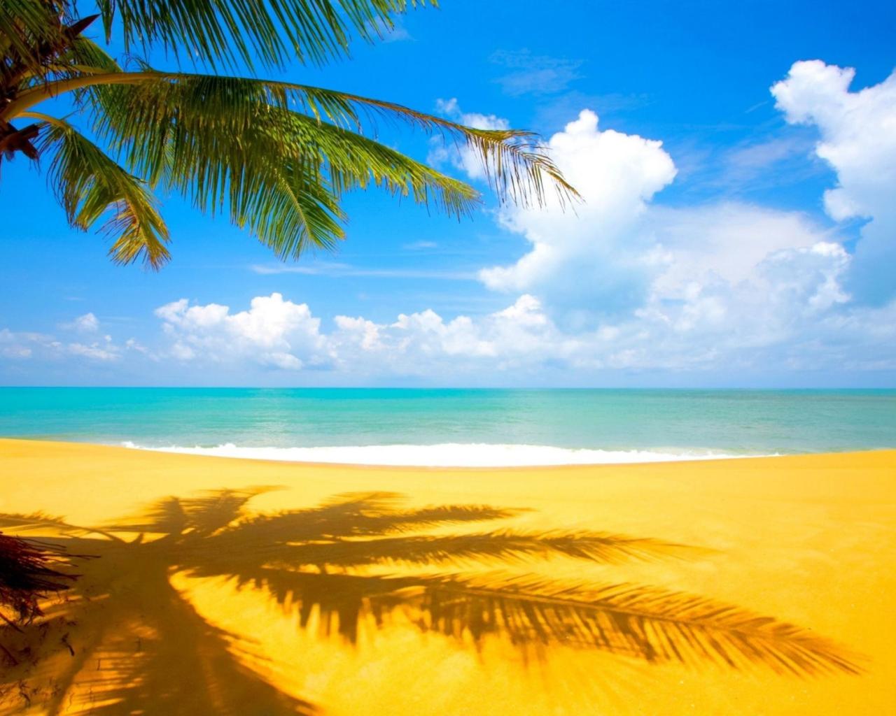 Пальма море пляж обои для рабочего стола картинки фото 1280x1024
