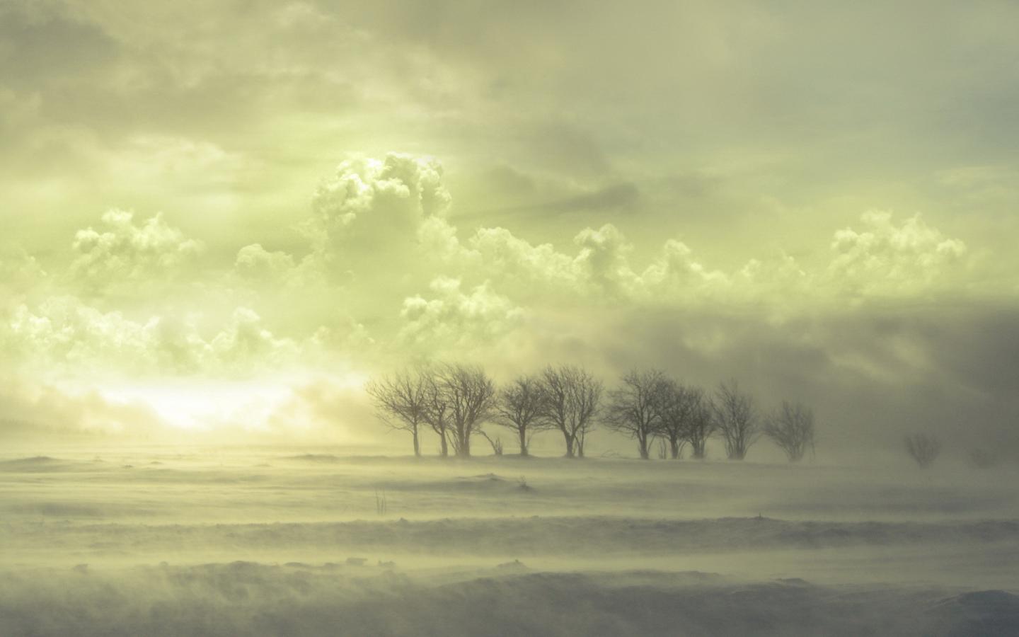 Туман, деревья, рассвет, тучи 1440x900