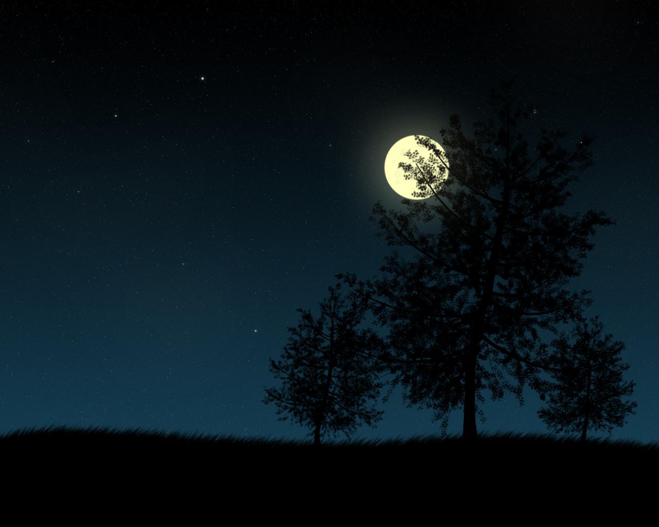 Ночь, Луна, Небо, Дерево 1280x1024