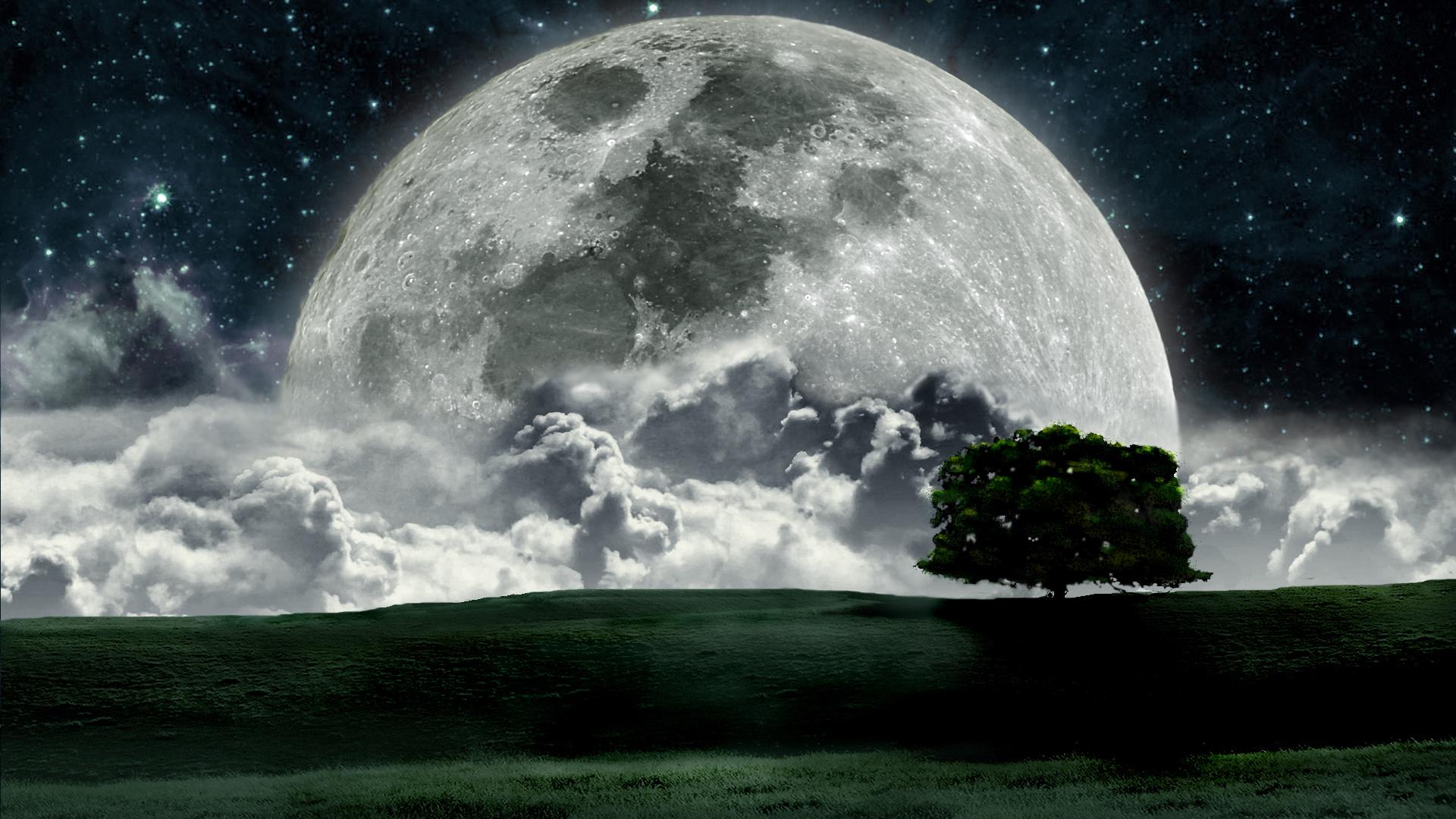 Небо, облака, луна, ночь, дерево обои для рабочего стола, картинки, фото,  1920x1080.