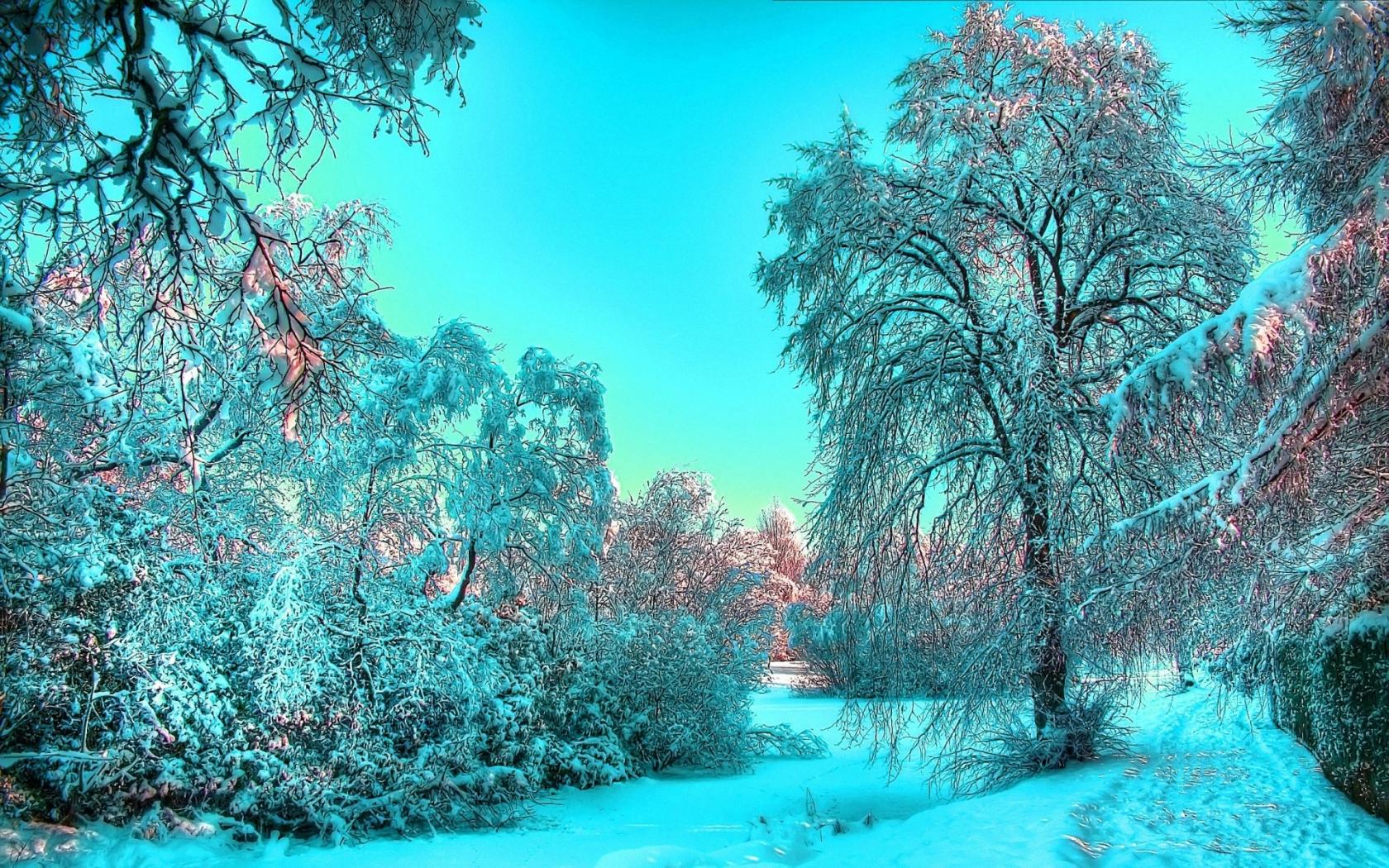 Зимний лес, сказочная, красота обои для рабочего стола, картинки, фото