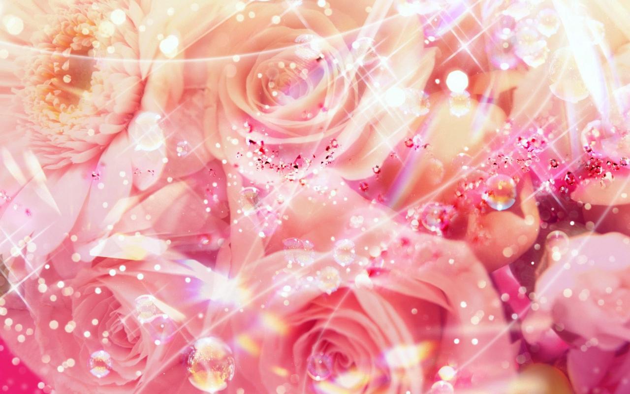 Shine of roses 1280x800
