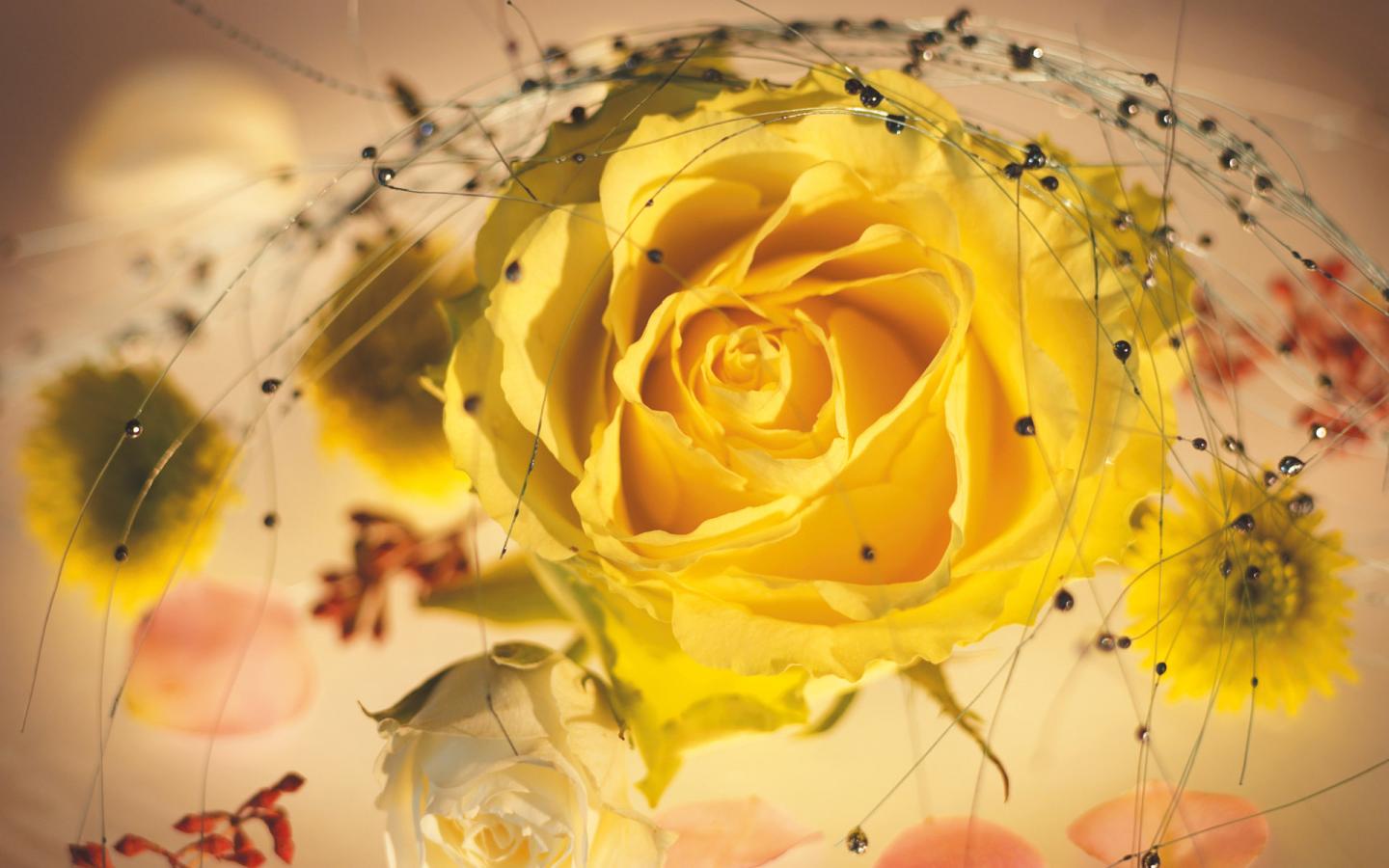 Жёлтая роза с украшениями 1440x900