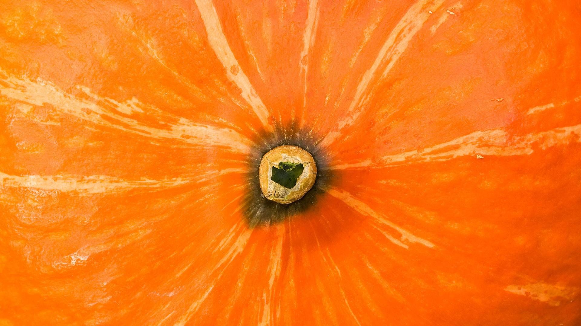 Оранжевая, тыква, попа 1920x1080