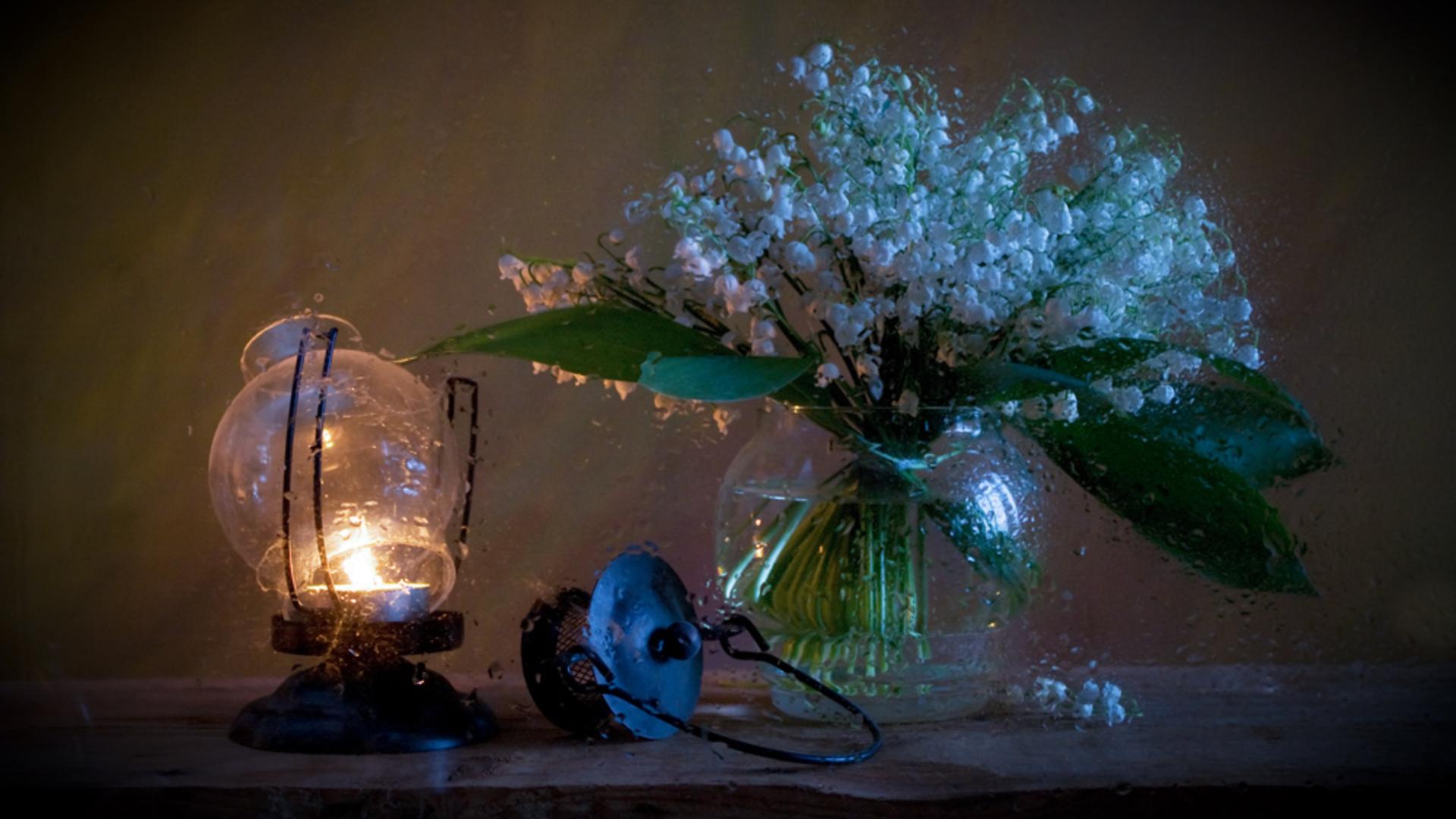 Цветы, ваза, лампа обои для рабочего стола, картинки, фото, 1920x1080.