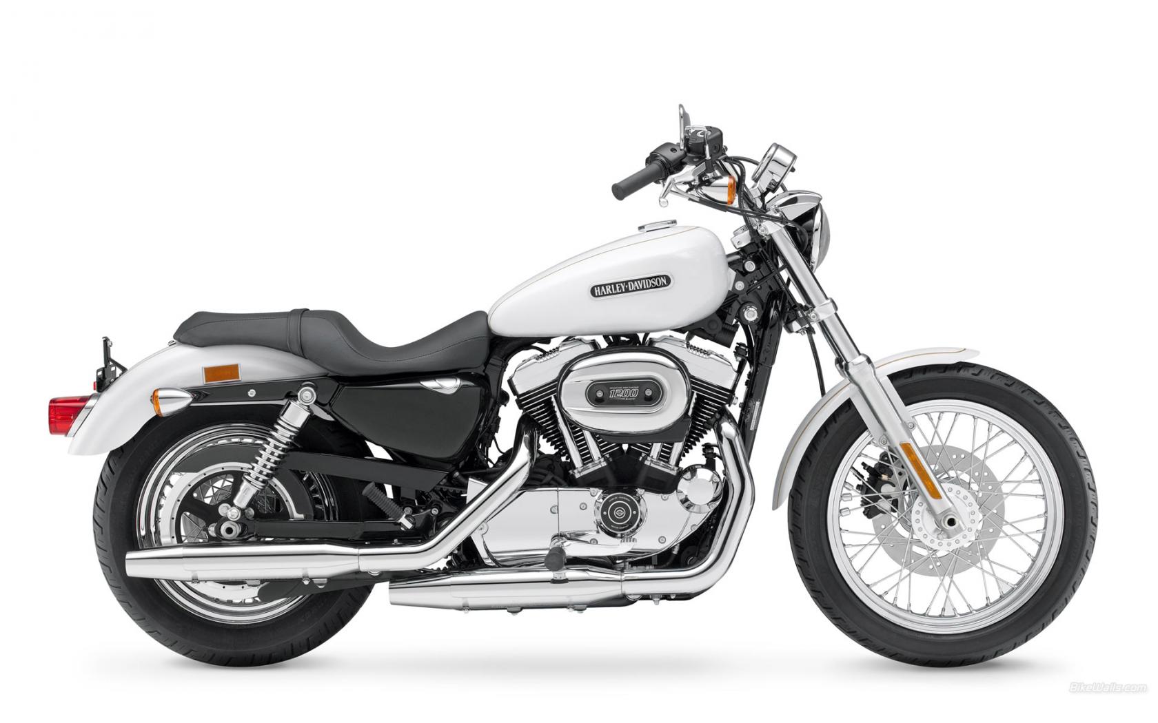 Harley-Davidson, Sportster, XL 1200 L Sportster 1200 Low, XL 1200 L Sportster 1200 Low 2008, мото, м 1680x1050