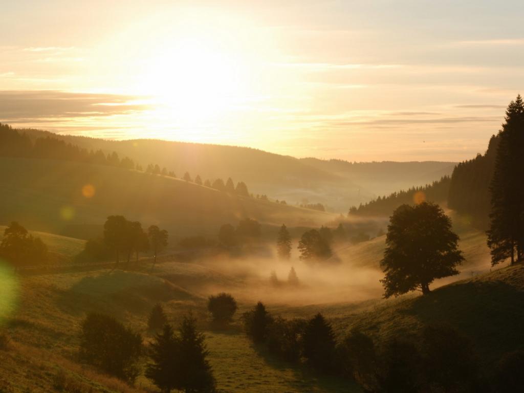 Восход, утро, туман, пейзаж, природа 1024x768
