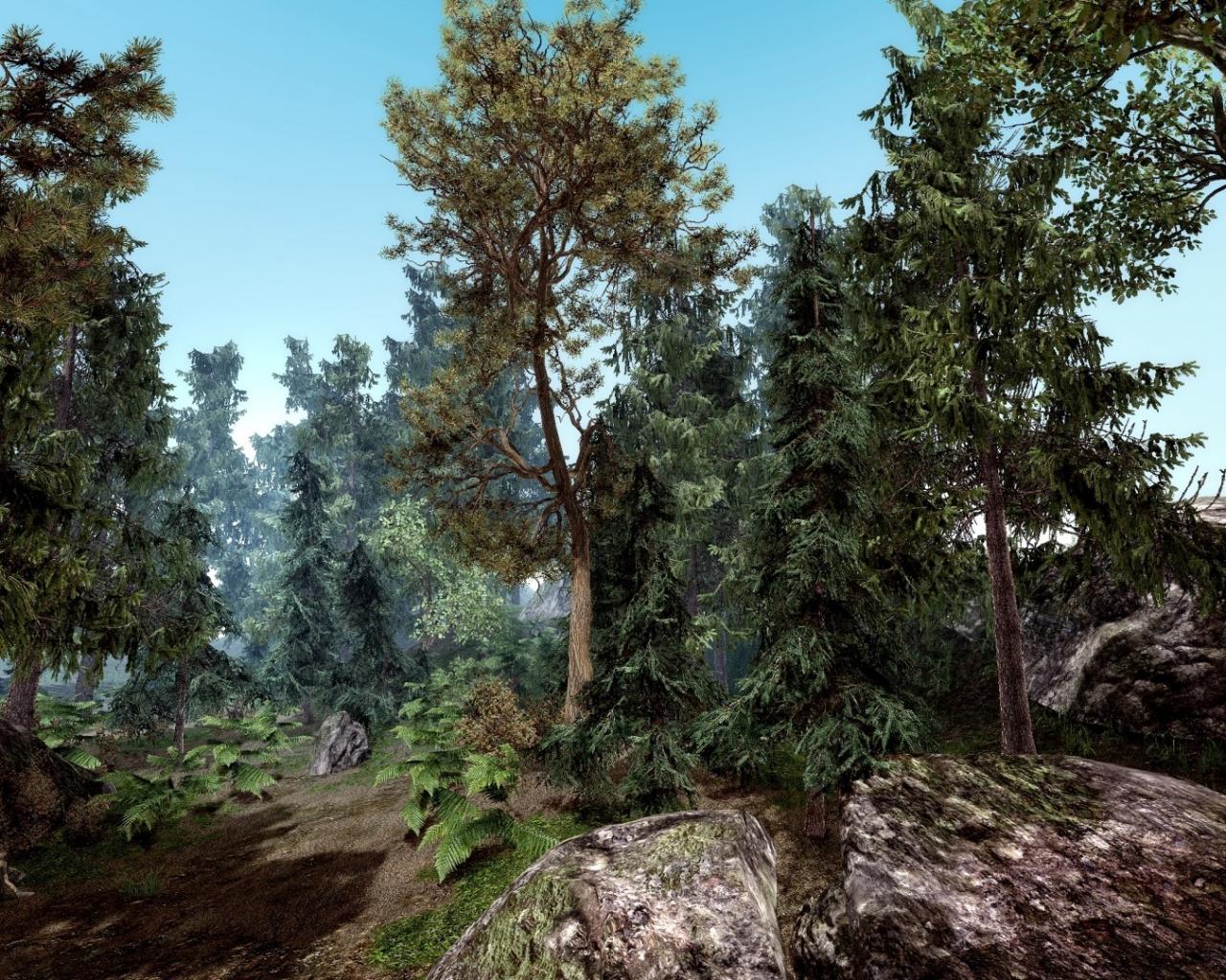 Лес, хвоя, камни, деревья, ветви, скала 1280x1024
