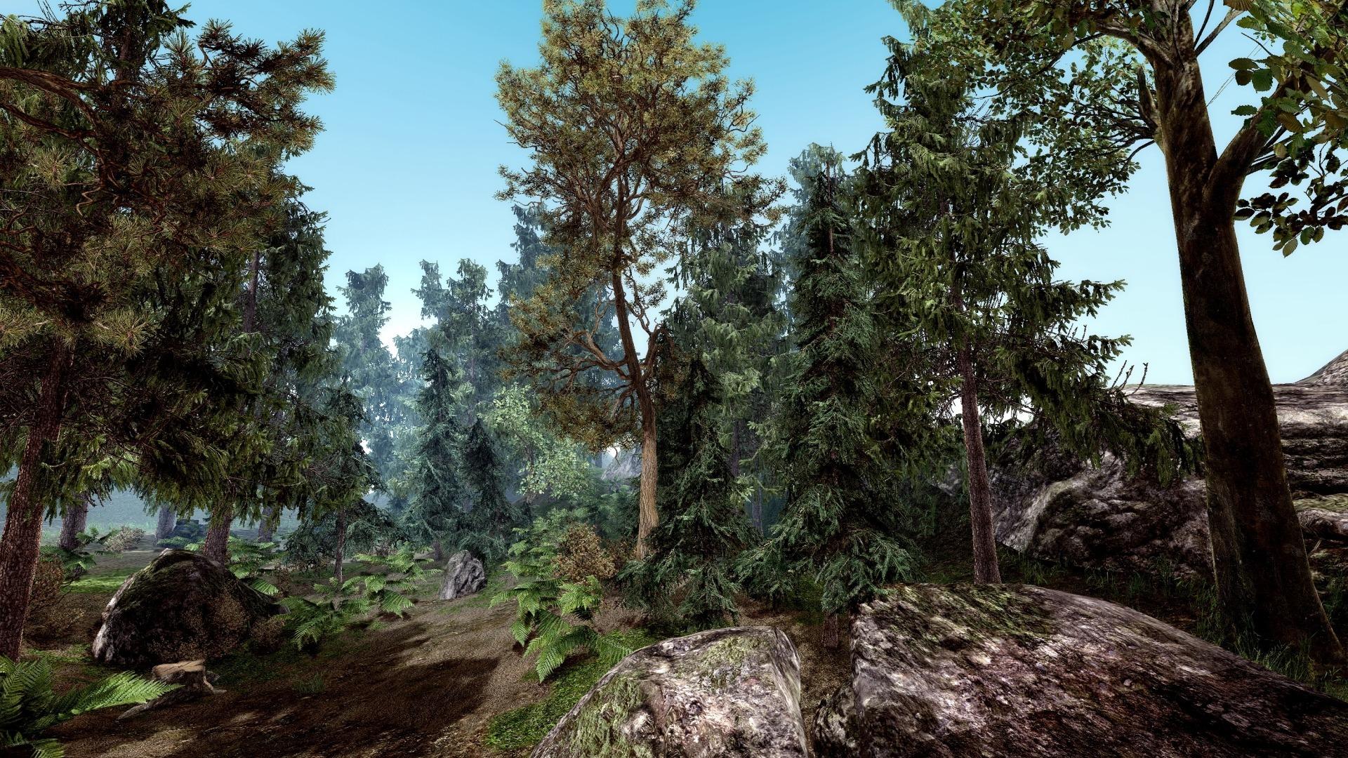 Лес, хвоя, камни, деревья, ветви, скала 1920x1080