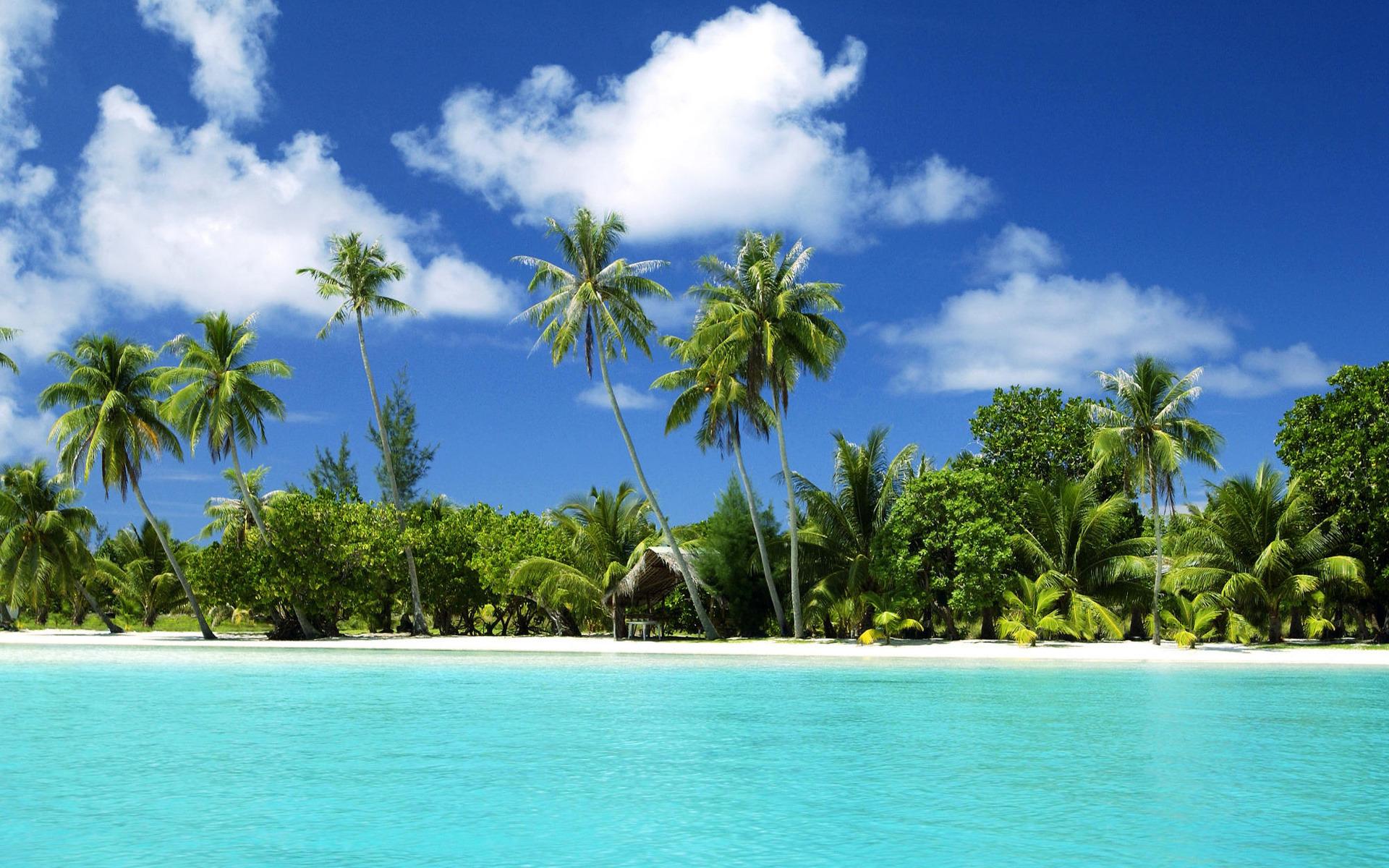 Тропический остров, пляж.море, океан, вода, песок, пальмы 1920x1200