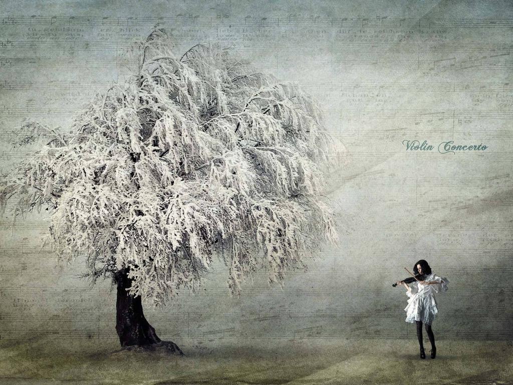 Девушка, дерево, музыка, скрипка 1024x768