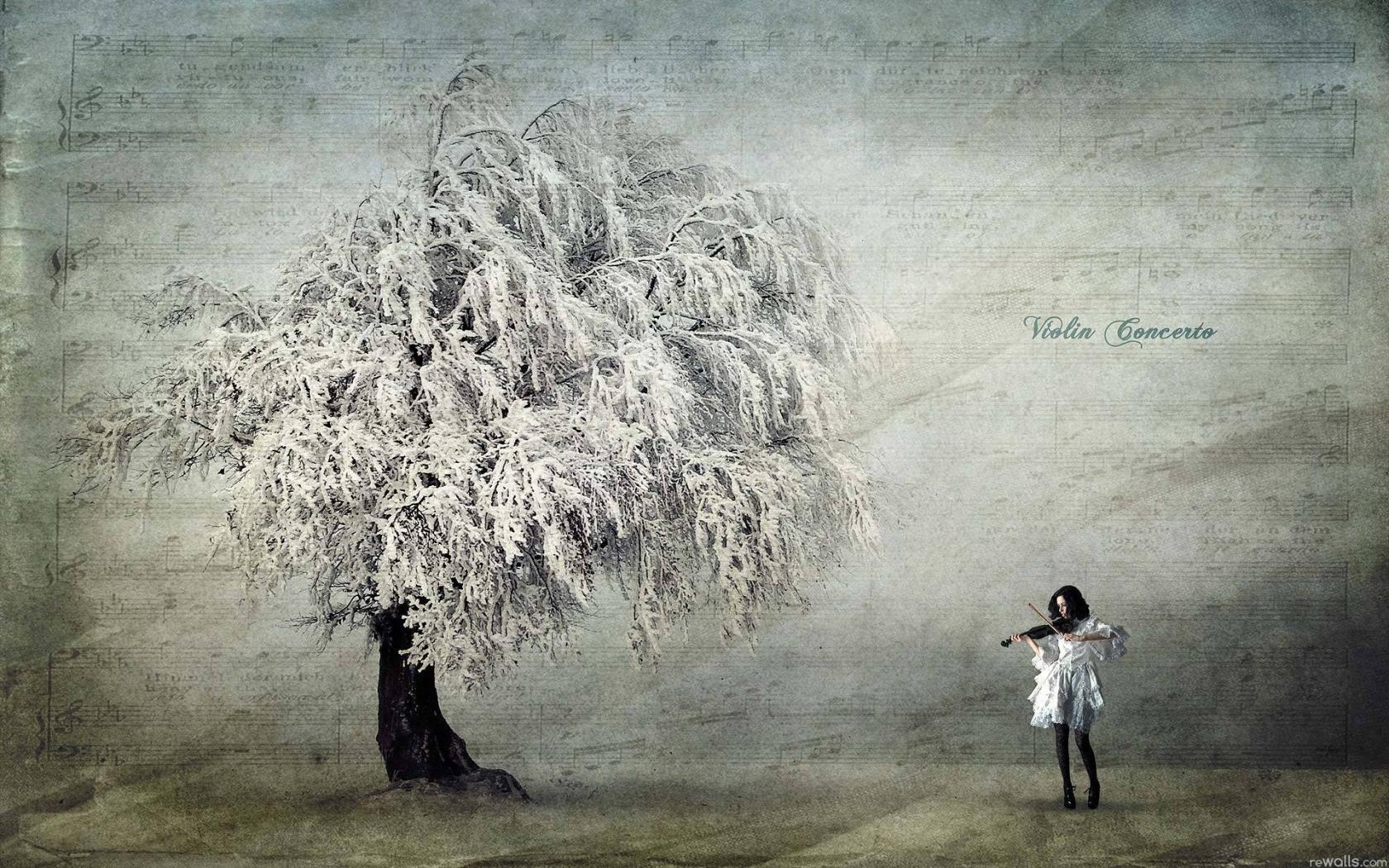 Девушка, дерево, музыка, скрипка 1680x1050