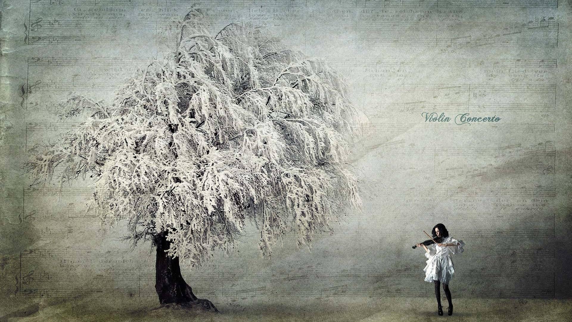 Девушка, дерево, музыка, скрипка 1920x1080