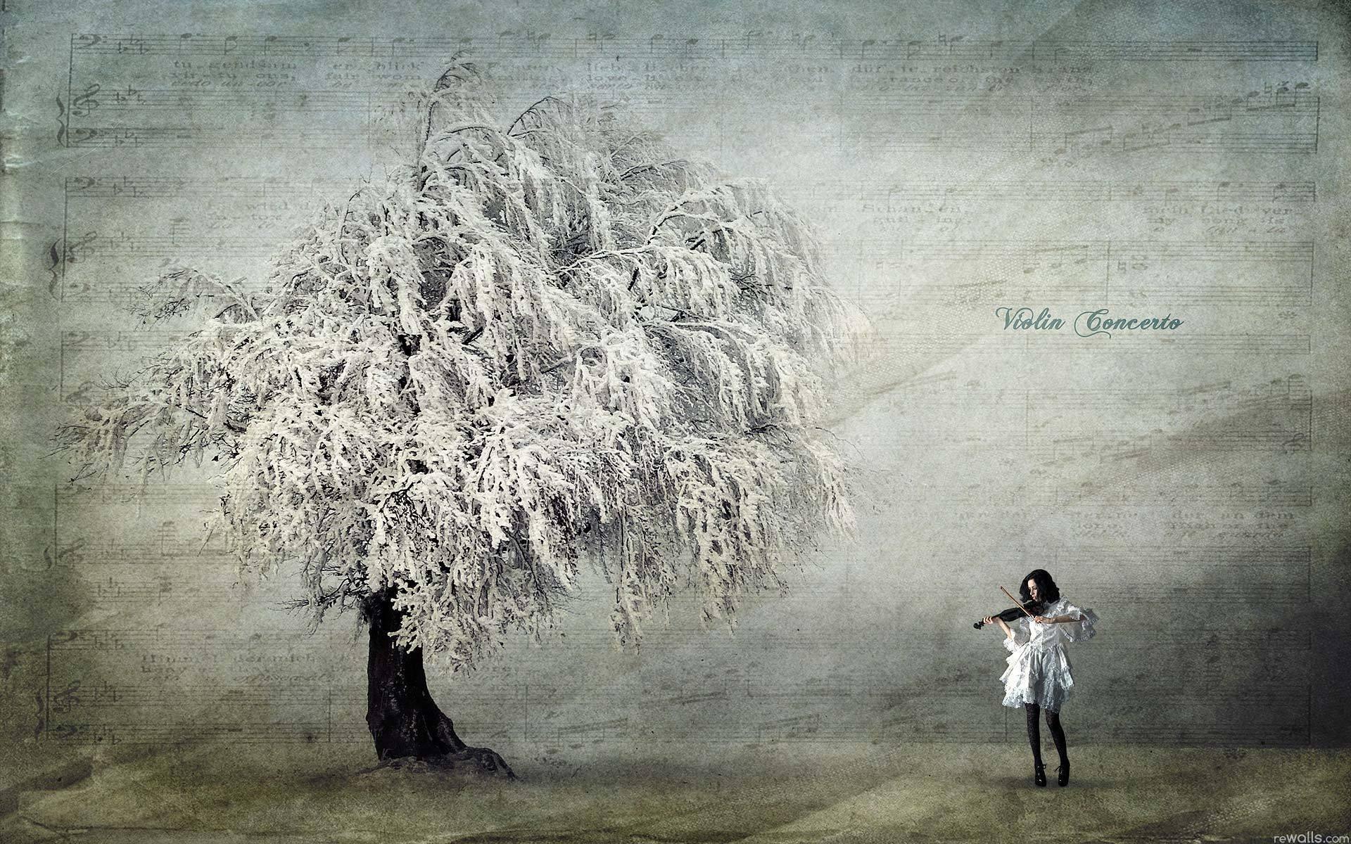 Девушка, дерево, музыка, скрипка 1920x1200