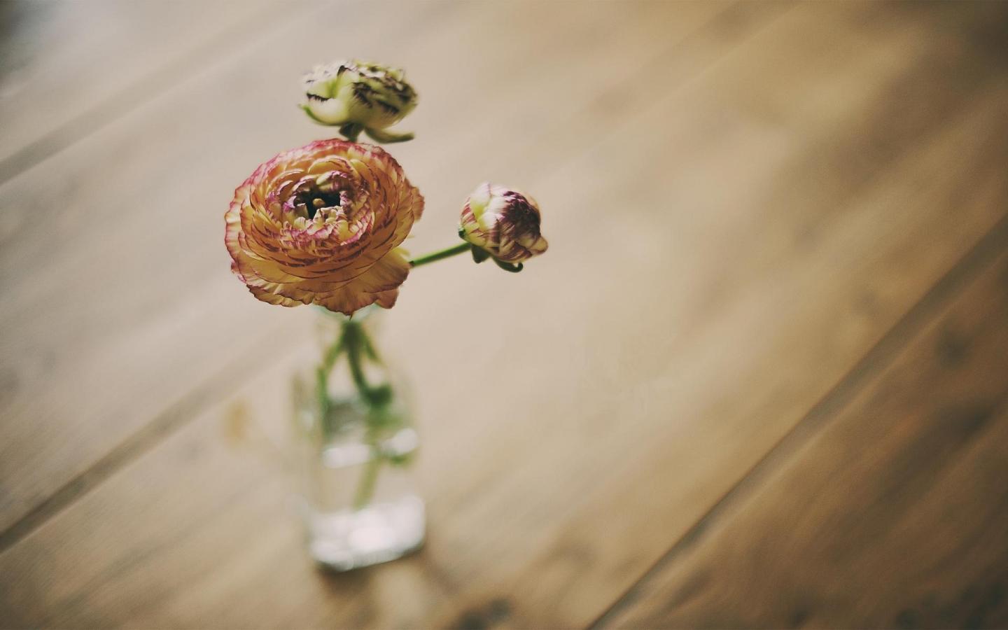 Цветок, роза, ваза 1440x900