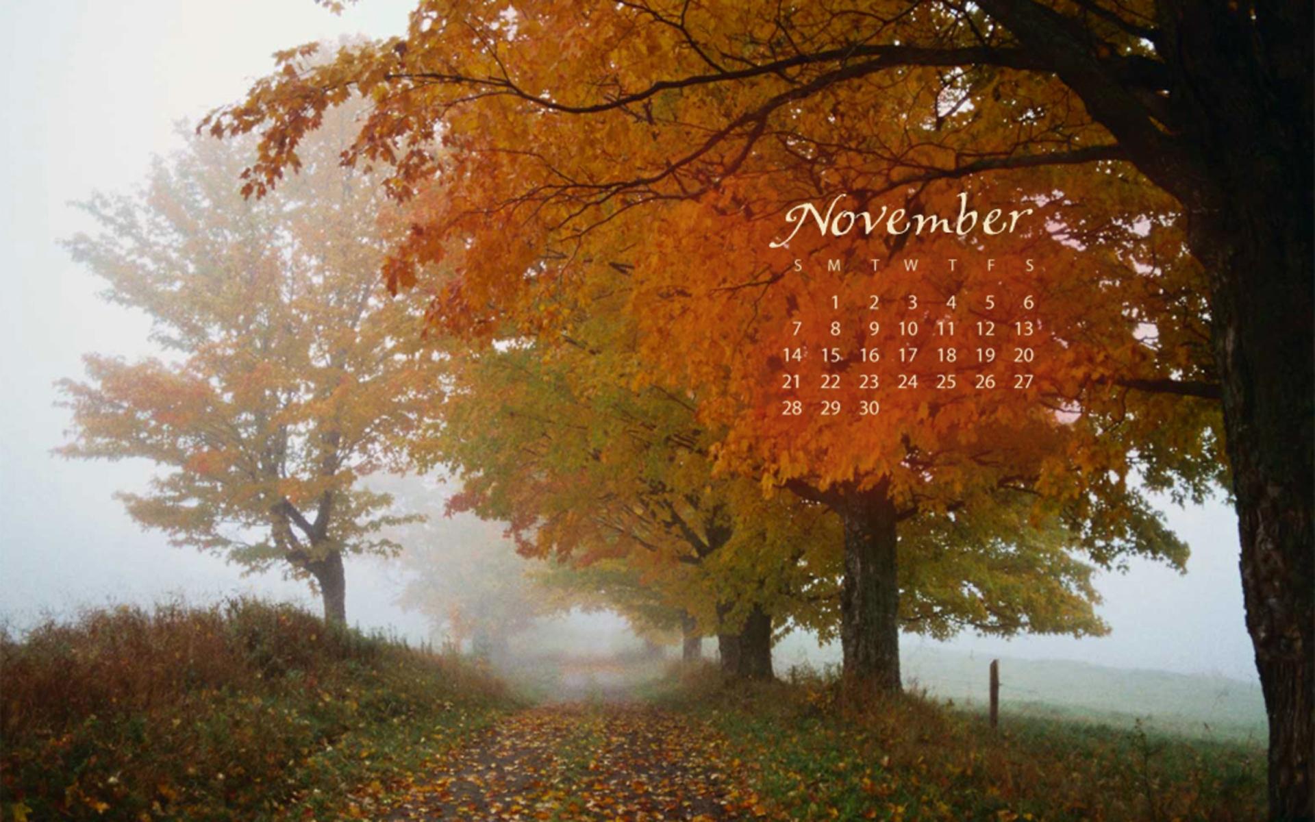 Ноябрь 2010, Календарь обои для рабочего стола, картинки, фото, 1920x1200.