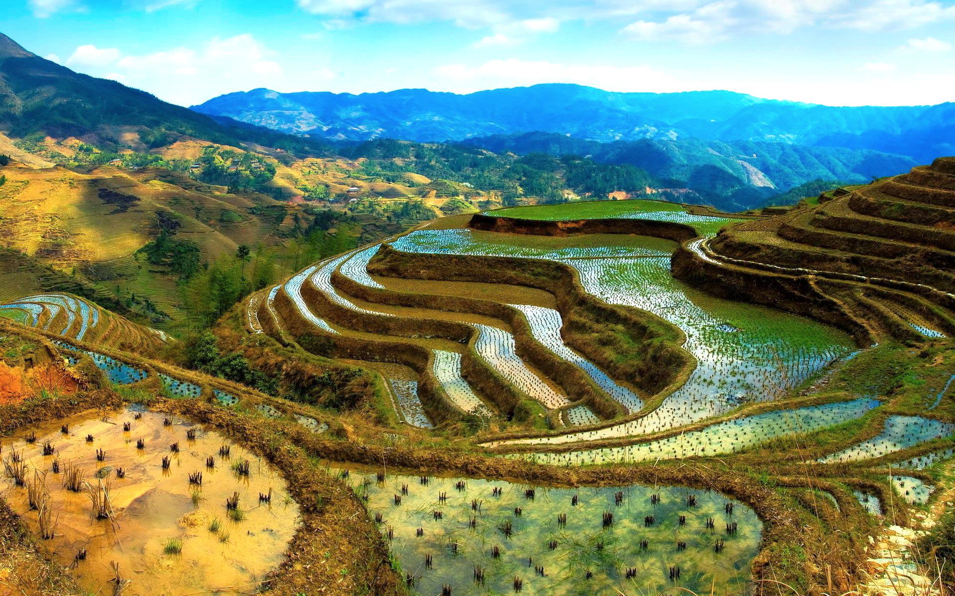 Висячие сады, рисовые поля, горы, терассы, Китай обои для рабочего