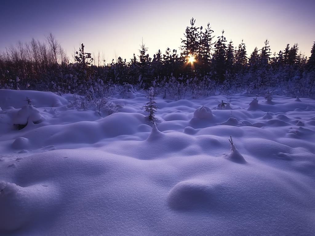 Природа, зима, снег, солнце 1024x768